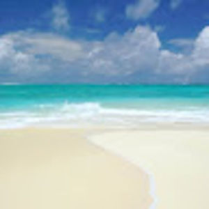 Meet your Posher, Frances